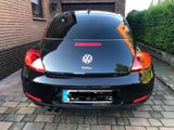 Volkswagen Beetle 2.0 TDI Design - Volkswagen Beetle: TDI