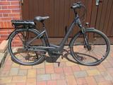 Trenoli Brenta comodo 500 Watt Bosch Shimano Nexus LED - Trenoli E-Bikes