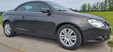 Volkswagen Eos 1.4 TSI 90kW - Pano,Leder, AHK 8Fach, - VW Eos von privat