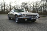 Jaguar XJ-S V12 HE Coupé | H-Zulassung - Jaguar: V12