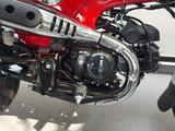 Honda Dax ST125 TZ - HONDA DAX 125