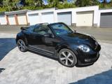 Volkswagen New Beetle - VW New Beetle von privat