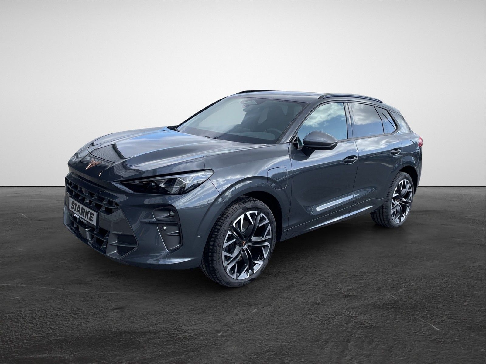 Cupra Terramar 1.5 e-Hybrid DSG VZ  HeadUp Panodach AH imagem 3