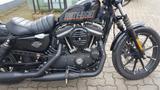 Harley-Davidson Forty Eight Iron 883 - Offers
