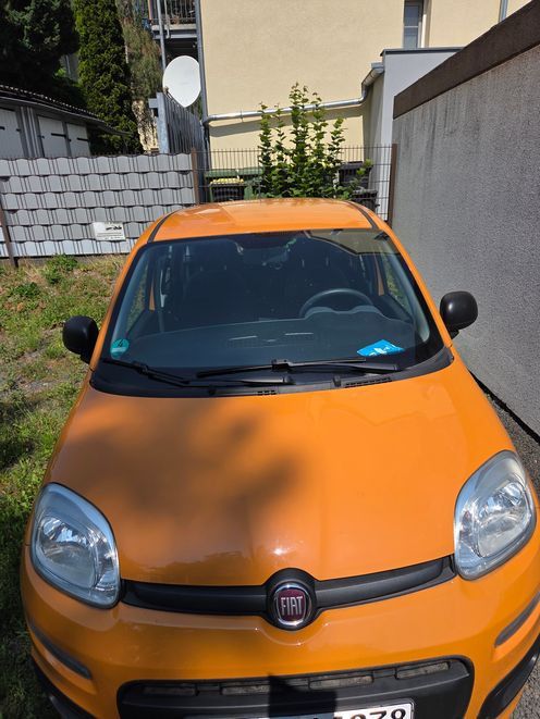 Image of Fiat New Panda