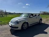 Volkswagen Beetle 1.2 TSI BMT Cabriolet - weiß - Volkswagen Beetle in Duisburg