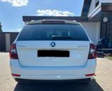 Skoda Octavia 2.0 TDI DSG CLEVER Combi CLEVER - Skoda Gebrauchtwagen in Detmold