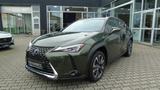 Lexus UX 250 hStyle Edition Sitzheizung vorne und Lenk - Lexus in Duisburg