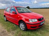 Volkswagen Polo 1.4 44kW Auto Basis Basis - Volkswagen Polo aus 2001: 1.4