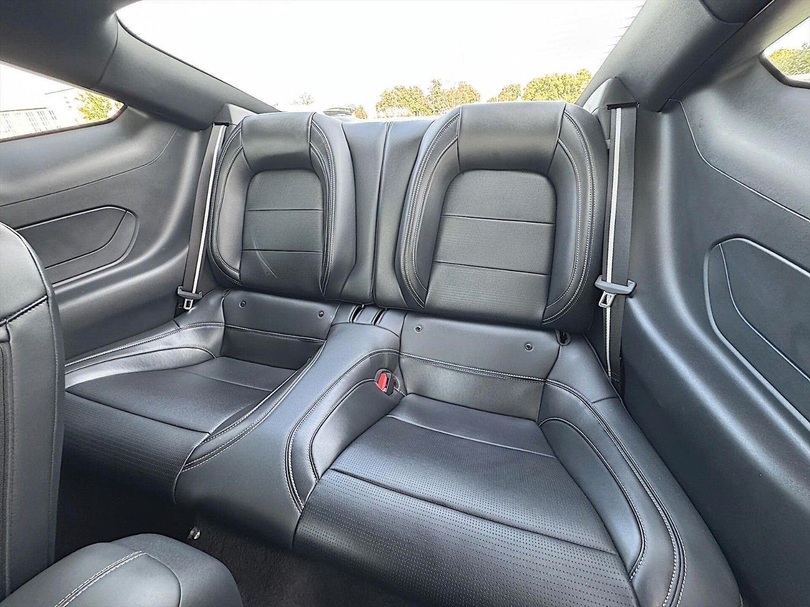 Fahrzeugabbildung Ford Mustang GT 5.0 V8 BLACK EDITION *Modell 24*ACC*