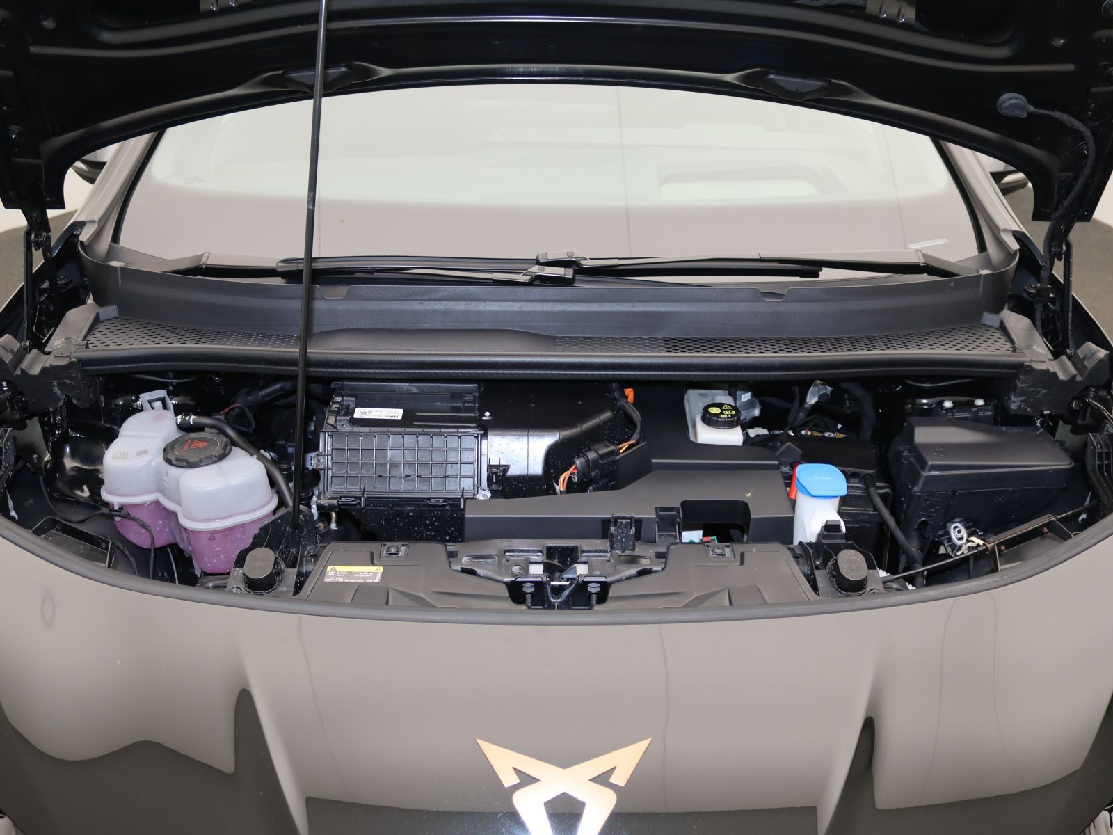 Cupra Born - Bild 18