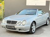Mercedes-Benz CLK 230 Cabrio ELEGANCE *LEDER*17-ZOLL AMG* - Mercedes-Benz CLK 230 mit Benzin-Antrieb