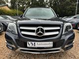 Mercedes-Benz GLK 220 BlueTEC 4MATIC AHK*Pano*Tempo*Navi*SitzH - Mercedes-Benz Gebrauchtwagen in Brandenburg an der Havel