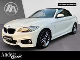BMW 228 i Cabrio M Sport BiXenon+SHZ+PDC+Navi+Harman - Gebrauchtwagen in Oldenburg