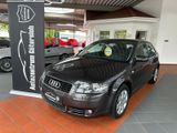 Audi A3 2.0 TDI Ambiente *DPF / VOLLLEDER / 2. Hand* - Audi A3 aus 2004: 2.0