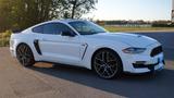 Ford Mustang 2.3L Ecoboost,US-Modell,Shelby-350 Optik - : Sportwagen, Us