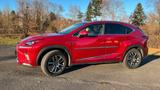 Lexus NX 350h - Lexus NX-Serie von privat