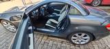 Mercedes-Benz SLK 350 - Designo Style - Mercedes-Benz: Slk Designo