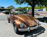 Volkswagen Käfer 1200 Mexiko - Volkswagen Käfer bis 10.000 Euro