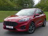Ford Kuga 2.0 EcoBlue M-Hybrid ST-Line X Navi ACC AHK - Ford Kuga mit Diesel-Antrieb