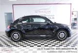 Volkswagen Beetle Cup Design*1Vorb*Servicegepf*PDC V/H*Sitz - Volkswagen Beetle: Cup