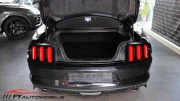 Ford Mustang - 5
