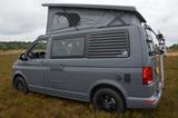Volkswagen T6.1 Wohnmobil California / Multivan - Volkswagen Multivan california