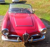 Alfa Romeo ALFA ROMEO Giulia SPIDER - Alfa Romeo Giulia: Cabrio