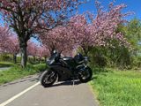 Yamaha R6 RJ15 Akrapovic, Rizoma, Öhlins - YAMAHA MAGDEBURG