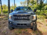 Ford F 150 Super Crew Pickup 4x4 Raptor Optik - Ford F 150 Gebrauchtwagen