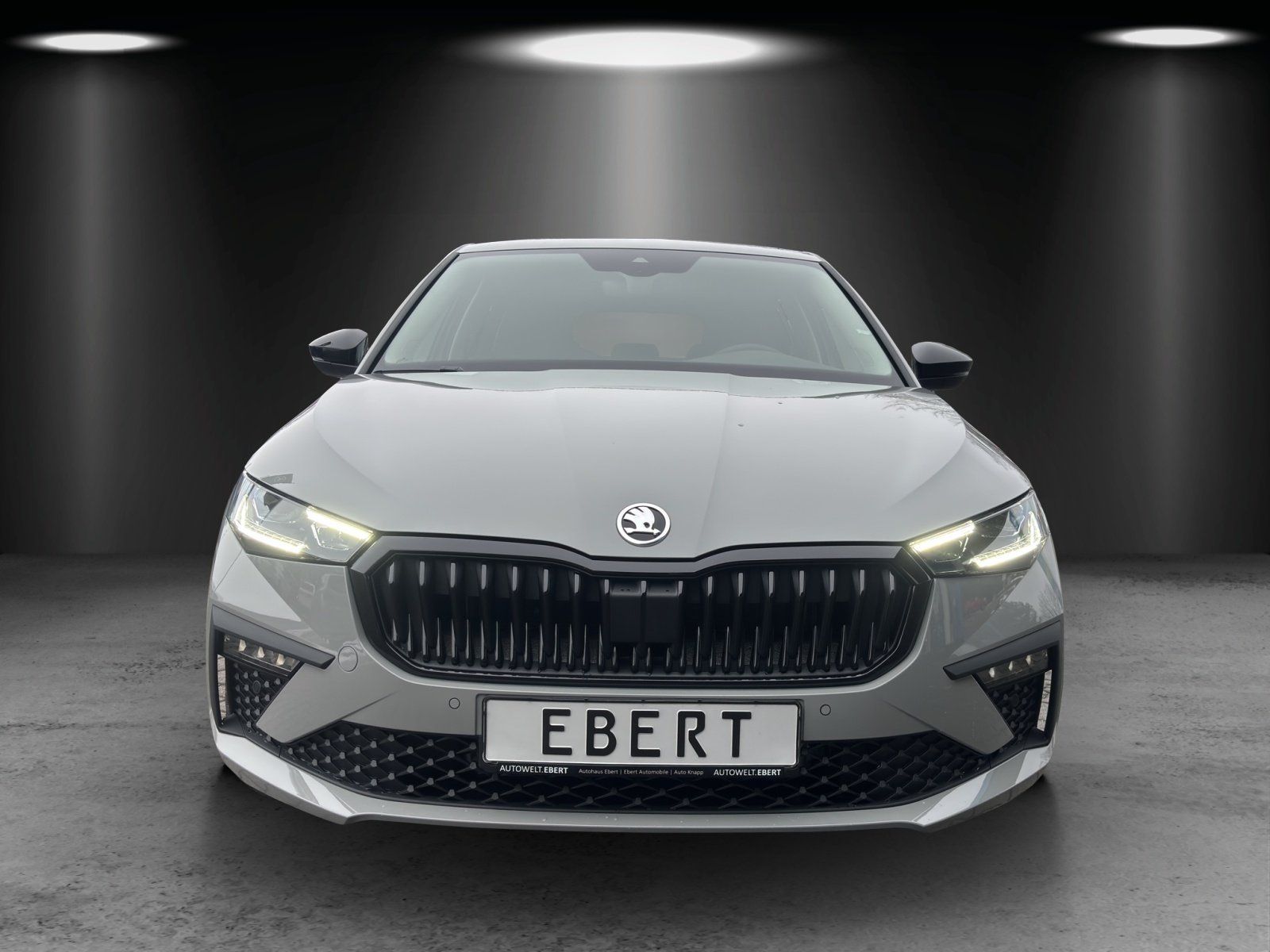 Fahrzeugabbildung SKODA Scala Balance 1,5 TSI 110 kW DSG