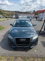 Audi A3 1.6 Motor ZAHNRIEMEN NEU! - Audi A3: Zahnriemen