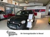 Fiat Panda/Pandina Pandina 1.0 GSE Hybrid Cross - Fiat Panda Neuwagen mit Benzin-Antrieb