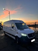 Mercedes-Benz Mercedes Benz w907 316 L3 H2/ Junge Sterne... - Mercedes-Benz mit Diesel-Antrieb: Junge Sterne