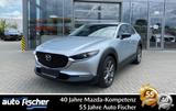Mazda CX-30 2.0 (179PS) AWD Autom. Selection. DES-P Bo - Mazda CX-30 Gebrauchtwagen in Frankfurt