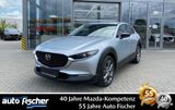 Mazda CX-30 2.0 (179PS) AWD Autom. Selection. DES-P Bo - Mazda CX-30 in Frankfurt (Main)