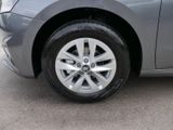 Skoda Fabia 130 Jahre Selection Plus 1,0 TSI *LED*PDC* - Skoda Fabia: Scheckheftgepflegt