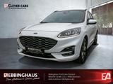 Ford Kuga 2.5 Plug-In Hybrid ST-Line X Panoramadach - Ford Kuga: Panoramadach