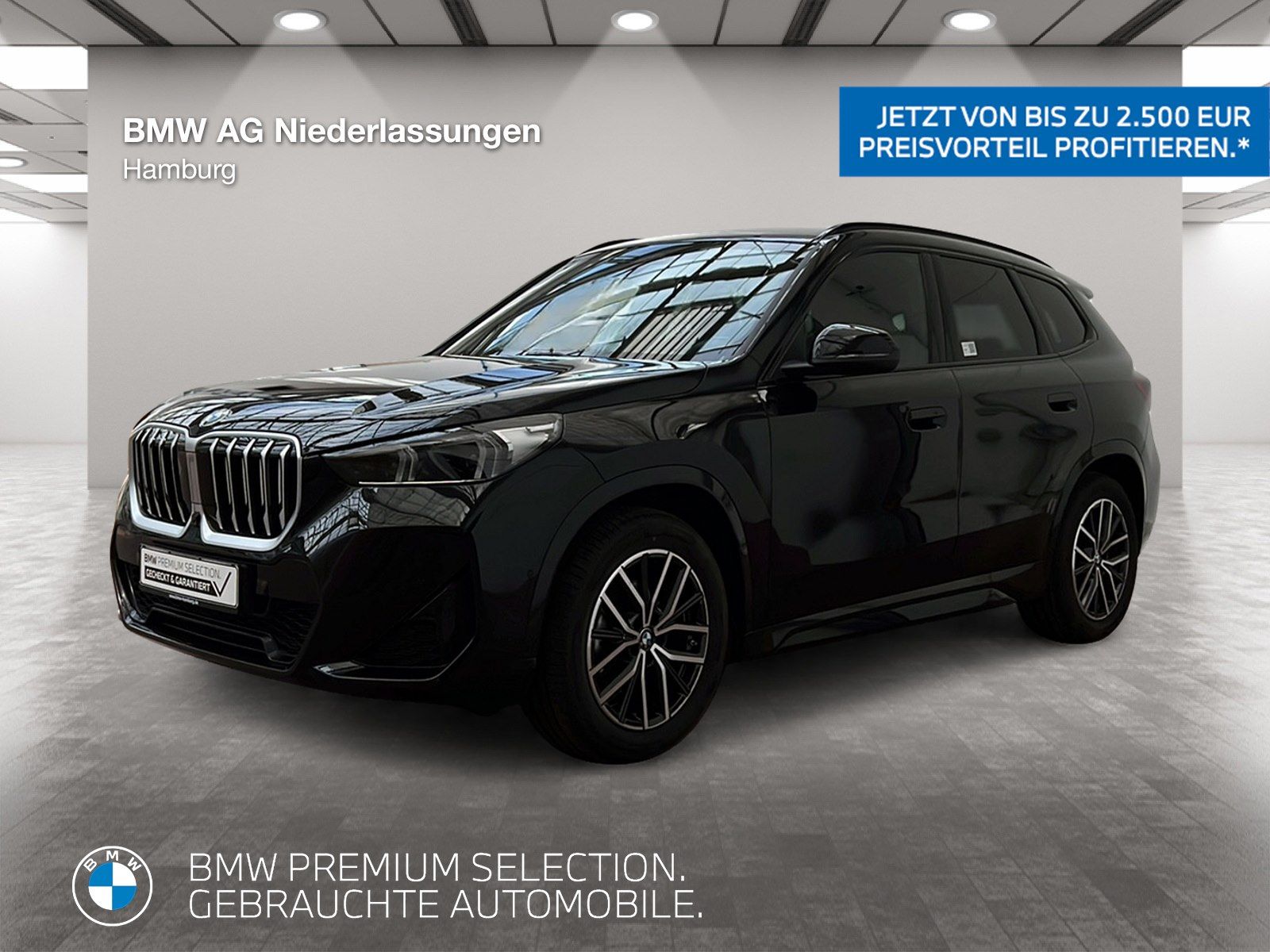 BMW X1 sDrive20d M Sport AHK Driv.Assist Harman K foto 1