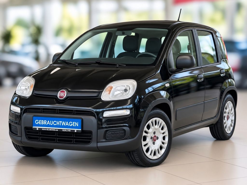 Image of Fiat Panda