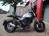 Benelli Leoncino 500 Euro 5 Vorführer - BENELLI LEONCINO