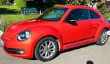 Volkswagen Beetle seltene Farbe, wenig km top Zust. +Ausst. - VW New Beetle von privat