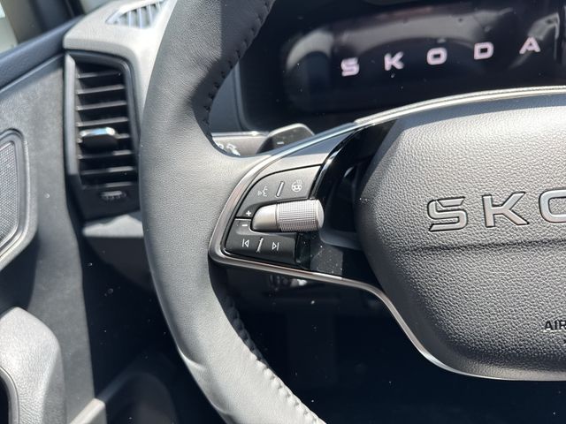 Karoq Selection 2.0 TDI, AHK, pACC, Navi DSG
