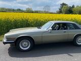 Jaguar XJS V12 / TOP-ZUSTAND ! - Jaguar XJS: Coupe