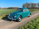 Volkswagen VW Käfer 1200 Export 1964 AHK Mangels-Felgen - VW T1 von privat
