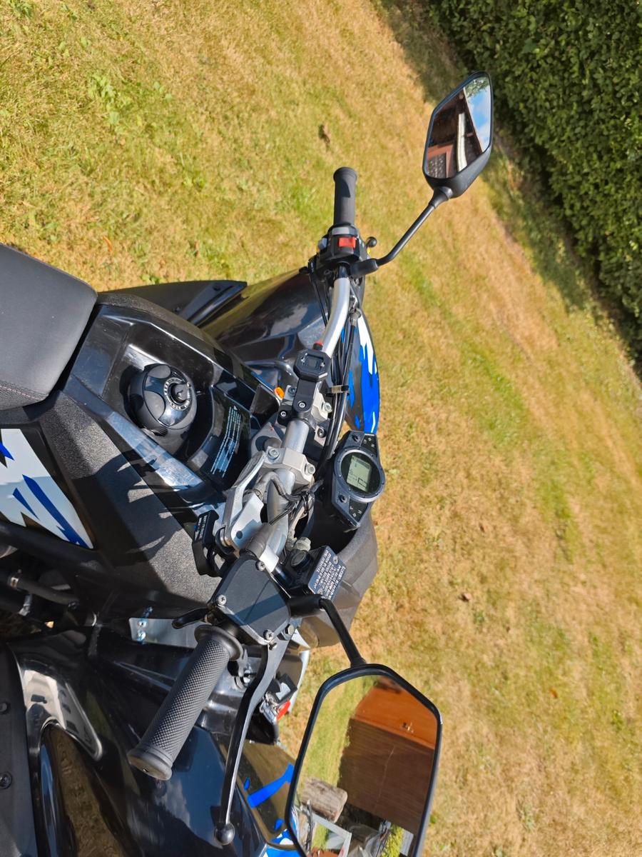 Online  2015 — photo 5