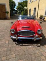 Austin Healey MK III - Klassiker in Bestform  - Austin Healey aus 1966