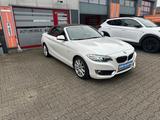 BMW 220 i Cabrio/Luxury Line/Leder/Xenon/E-DACH