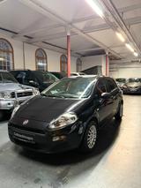 Fiat Punto MYSTYLE*TÜV SERVICE NEU* - Fiat Punto Gebrauchtwagen