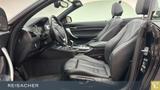 BMW 220d Cabrio Leder, DAB, HiFi, PDC, Lenkradheiz. - gebrauchte BMW 220 aus dem Jahr 2020